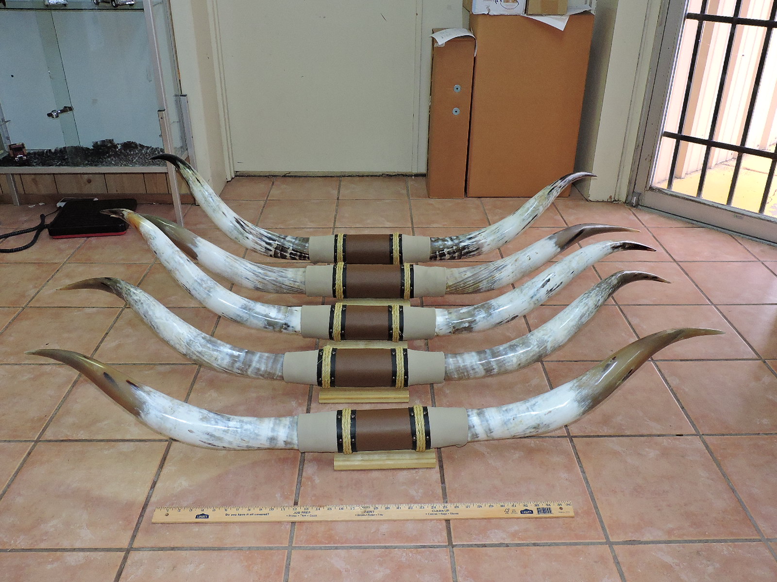 Bull Horns Bull Skulls Cow Horns Longhorn Mounts Steer Horns